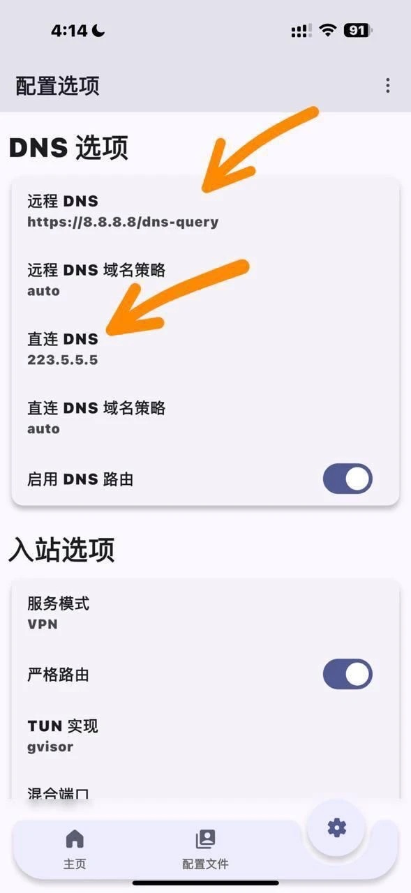 9. إعداد DNS (مهم)